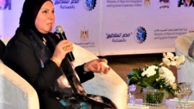 نيفين جامع - السيارات - وزيرة الصناعة