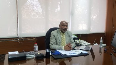 النصر للسيارات - السيارات الكهربائية